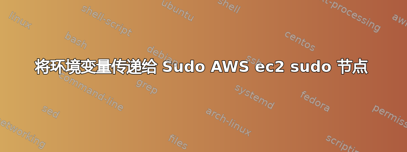 将环境变量传递给 Sudo AWS ec2 sudo 节点