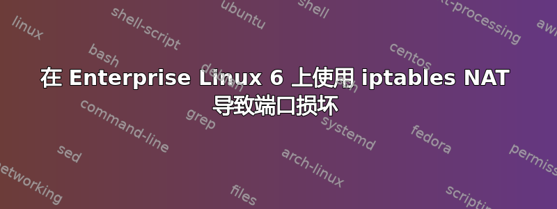 在 Enterprise Linux 6 上使用 iptables NAT 导致端口损坏