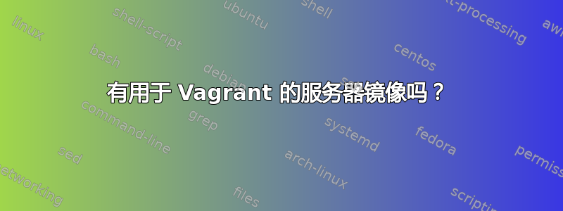 有用于 Vagrant 的服务器镜像吗？