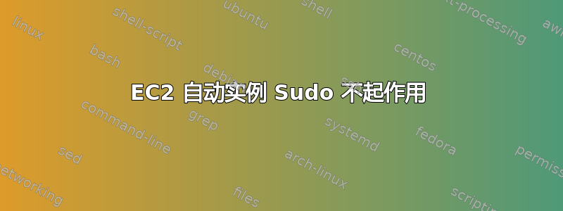 EC2 自动实例 Sudo 不起作用