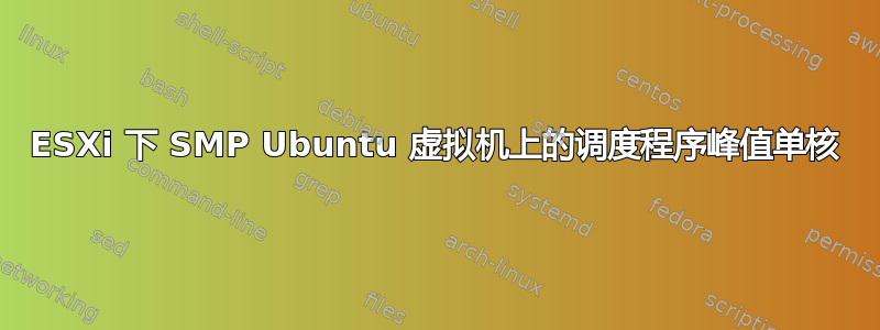 ESXi 下 SMP Ubuntu 虚拟机上的调度程序峰值单核