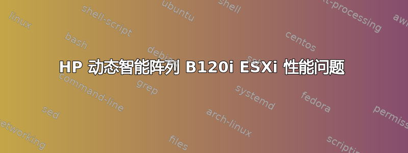 HP 动态智能阵列 B120i ESXi 性能问题