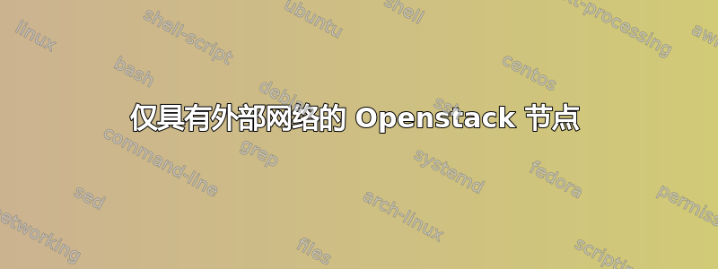 仅具有外部网络的 Openstack 节点