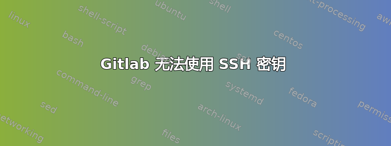 Gitlab 无法使用 SSH 密钥