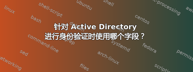 针对 Active Directory 进行身份验证时使用哪个字段？