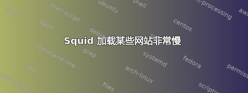 Squid 加载某些网站非常慢