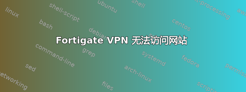 Fortigate VPN 无法访问网站