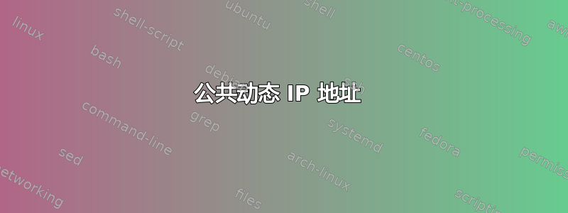 公共动态 IP 地址 