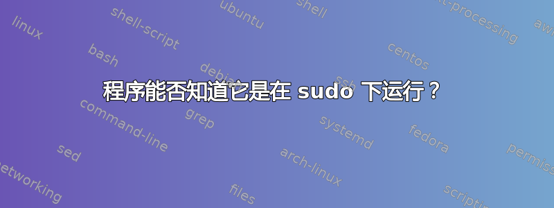 程序能否知道它是在 sudo 下运行？