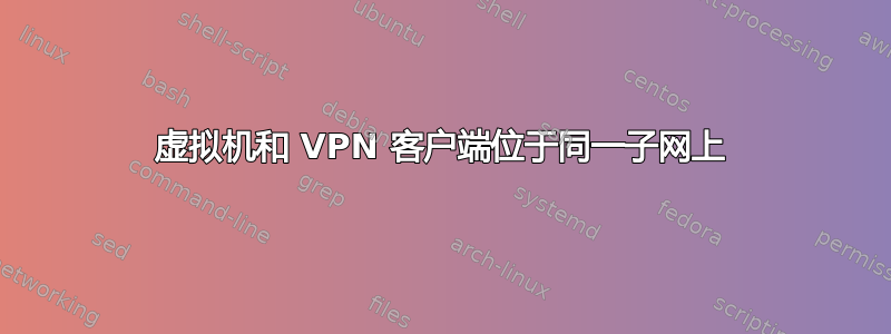 虚拟机和 VPN 客户端位于同一子网上