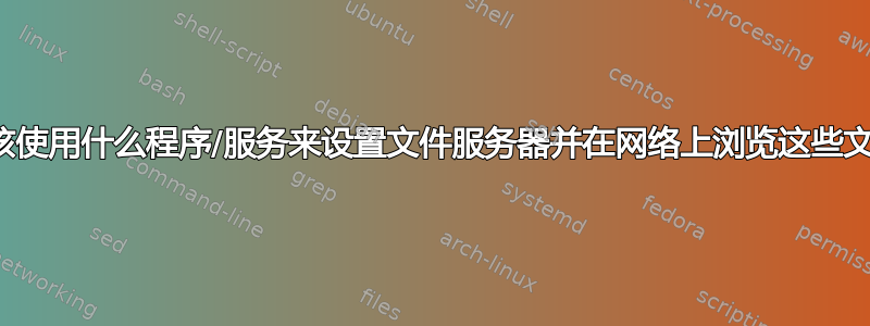 我应该使用什么程序/服务来设置文件服务器并在网络上浏览这些文件？