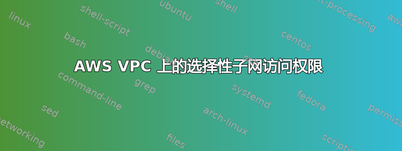 AWS VPC 上的选择性子网访问权限