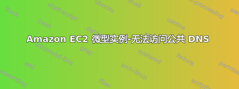 Amazon EC2 微型实例-无法访问公共 DNS