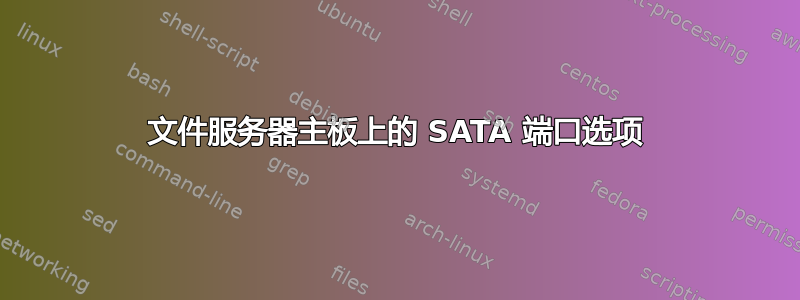 文件服务器主板上的 SATA 端口选项