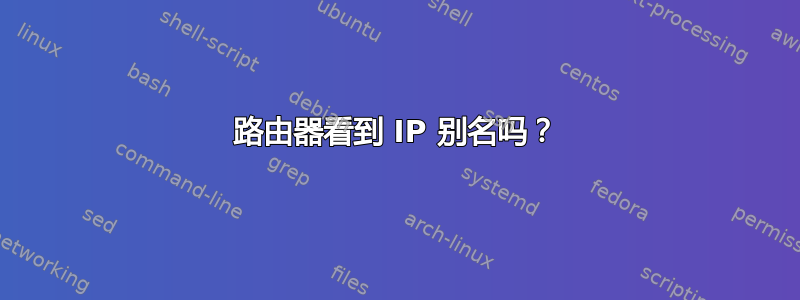 路由器看到 IP 别名吗？