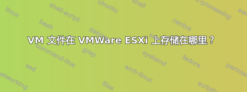 VM 文件在 VMWare ESXi 上存储在哪里？