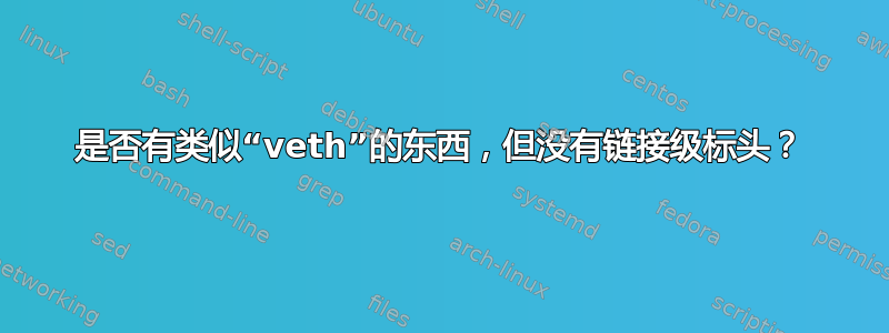 是否有类似“veth”的东西，但没有链接级标头？