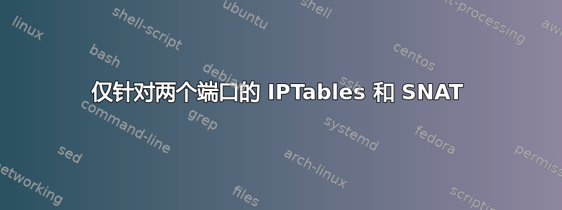 仅针对两个端口的 IPTables 和 SNAT