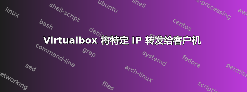 Virtualbox 将特定 IP 转发给客户机