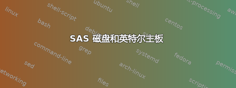 SAS 磁盘和英特尔主板