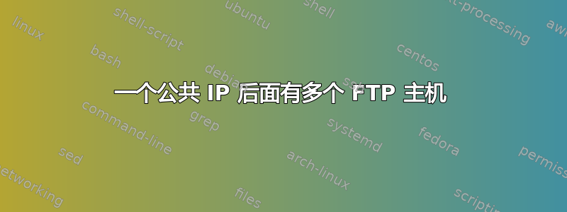 一个公共 IP 后面有多个 FTP 主机