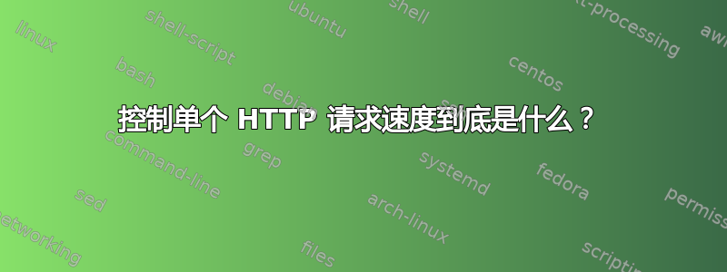 控制单个 HTTP 请求速度到底是什么？