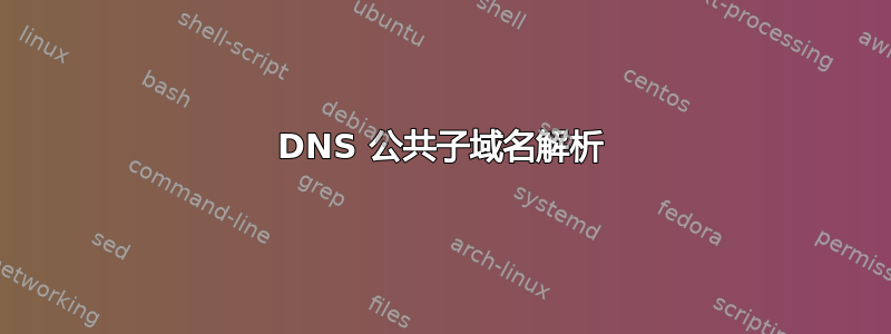 DNS 公共子域名解析