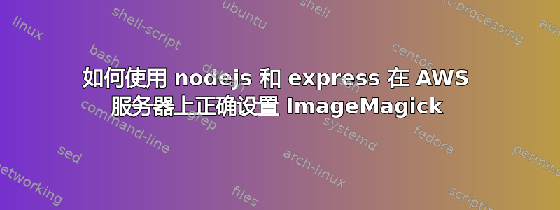 如何使用 nodejs 和 express 在 AWS 服务器上正确设置 ImageMagick