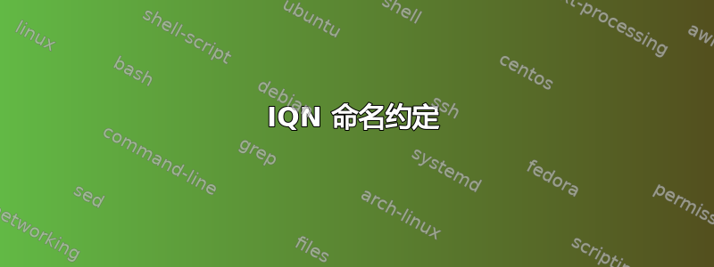 IQN 命名约定