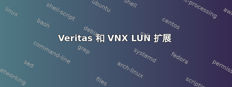 Veritas 和 VNX LUN 扩展