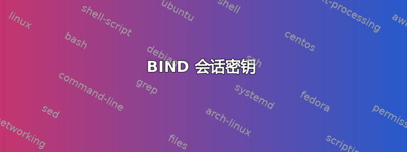 BIND 会话密钥