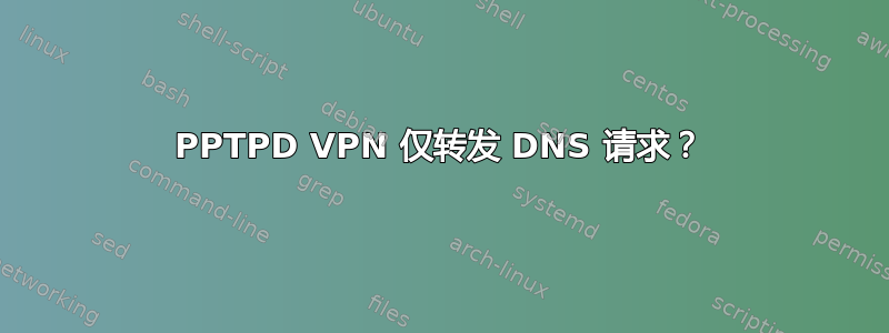 PPTPD VPN 仅转发 DNS 请求？