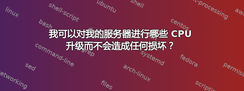 我可以对我的服务器进行哪些 CPU 升级而不会造成任何损坏？