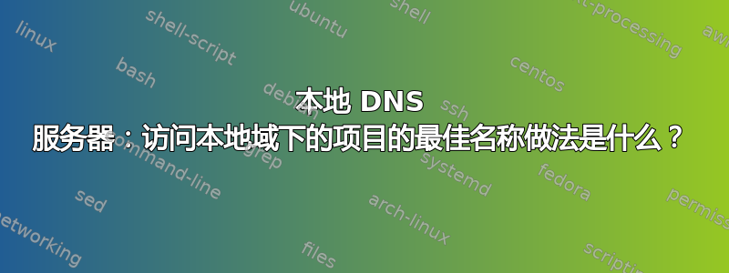 本地 DNS 服务器：访问本地域下的项目的最佳名称做法是什么？