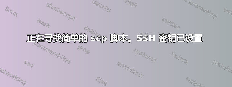 正在寻找简单的 scp 脚本。SSH 密钥已设置