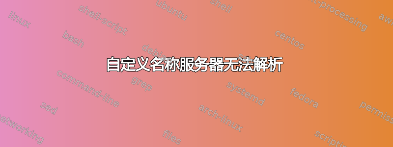 自定义名称服务器无法解析