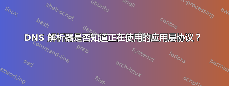 DNS 解析器是否知道正在使用的应用层协议？