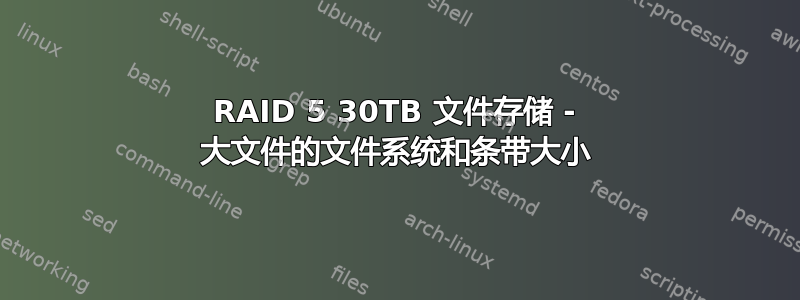 RAID 5 30TB 文件存储 - 大文件的文件系统和条带大小