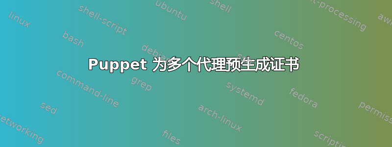 Puppet 为多个代理预生成证书