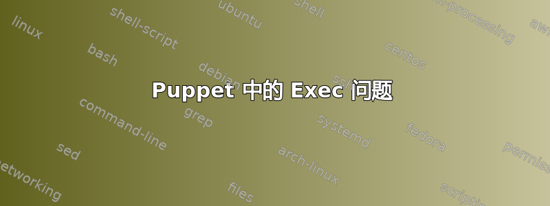 Puppet 中的 Exec 问题