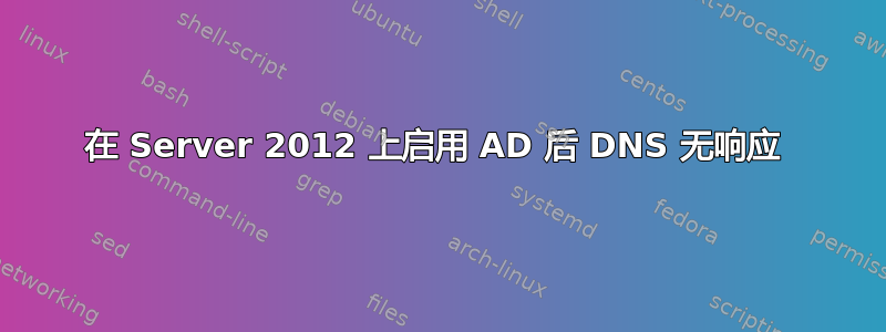 在 Server 2012 上启用 AD 后 DNS 无响应 