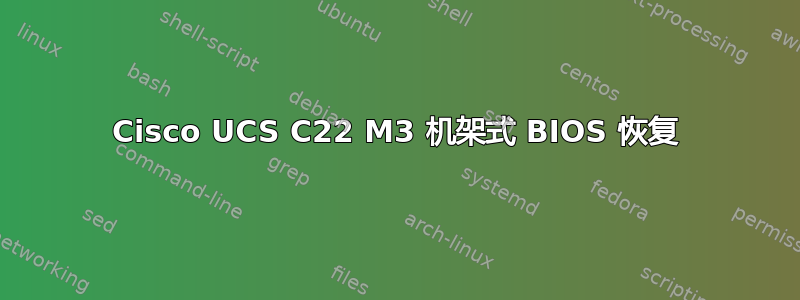 Cisco UCS C22 M3 机架式 BIOS 恢复