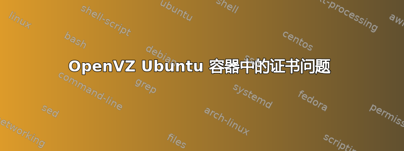 OpenVZ Ubuntu 容器中的证书问题