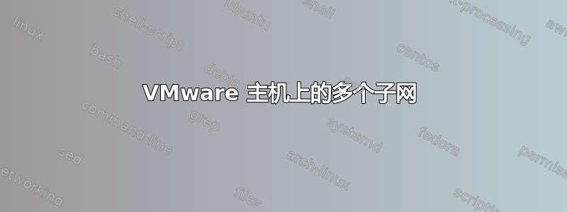 VMware 主机上的多个子网