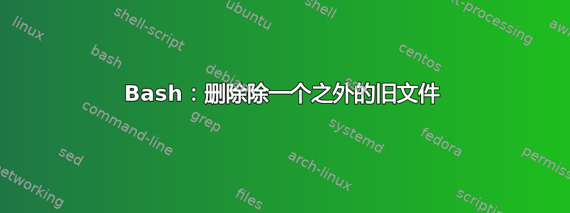 Bash：删除除一个之外的旧文件