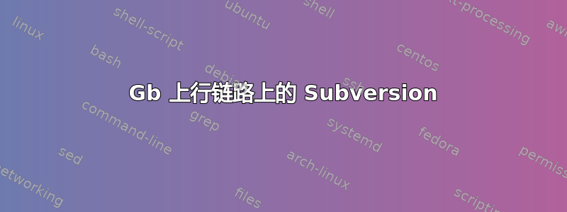 1 Gb 上行链路上的 Subversion