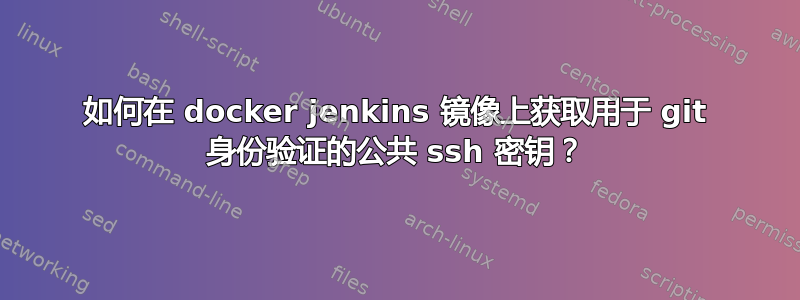 如何在 docker jenkins 镜像上获取用于 git 身份验证的公共 ssh 密钥？