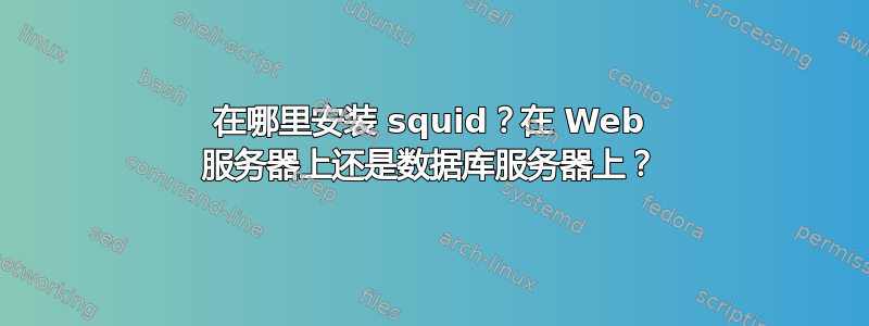 在哪里安装 squid？在 Web 服务器上还是数据库服务器上？