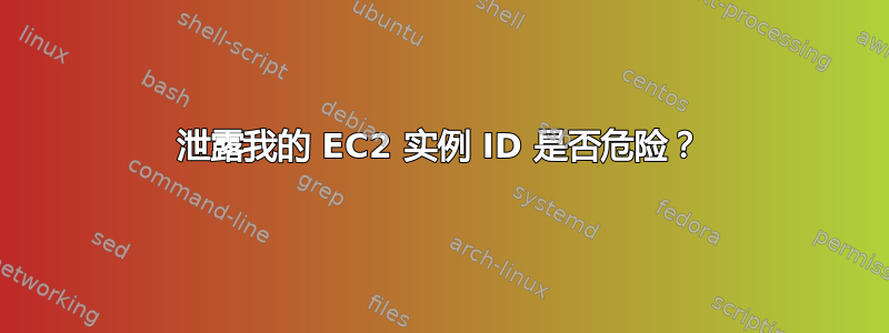 泄露我的 EC2 实例 ID 是否危险？