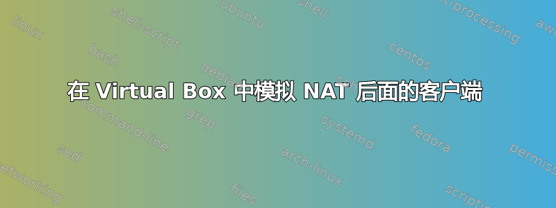 在 Virtual Box 中模拟 NAT 后面的客户端